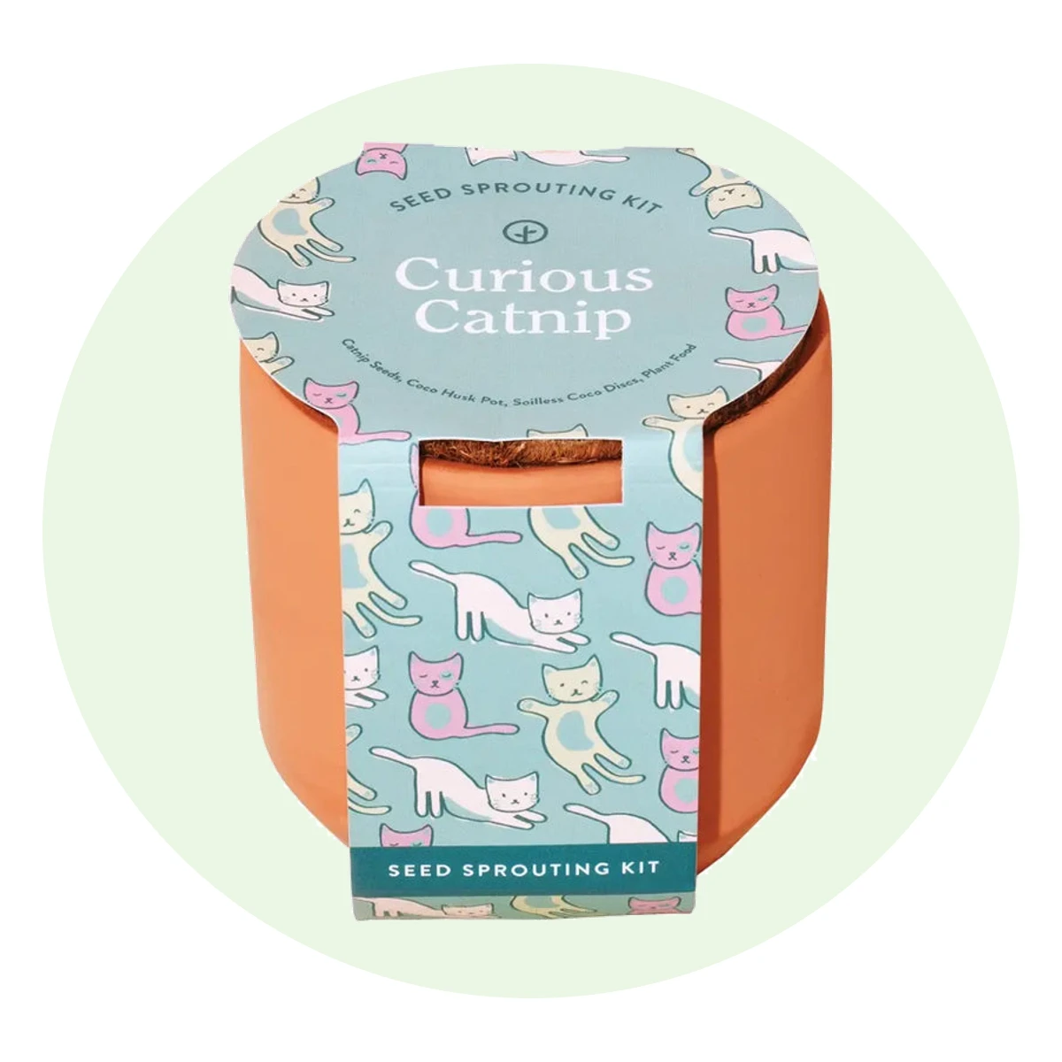 Curious Catnip Grow Kit