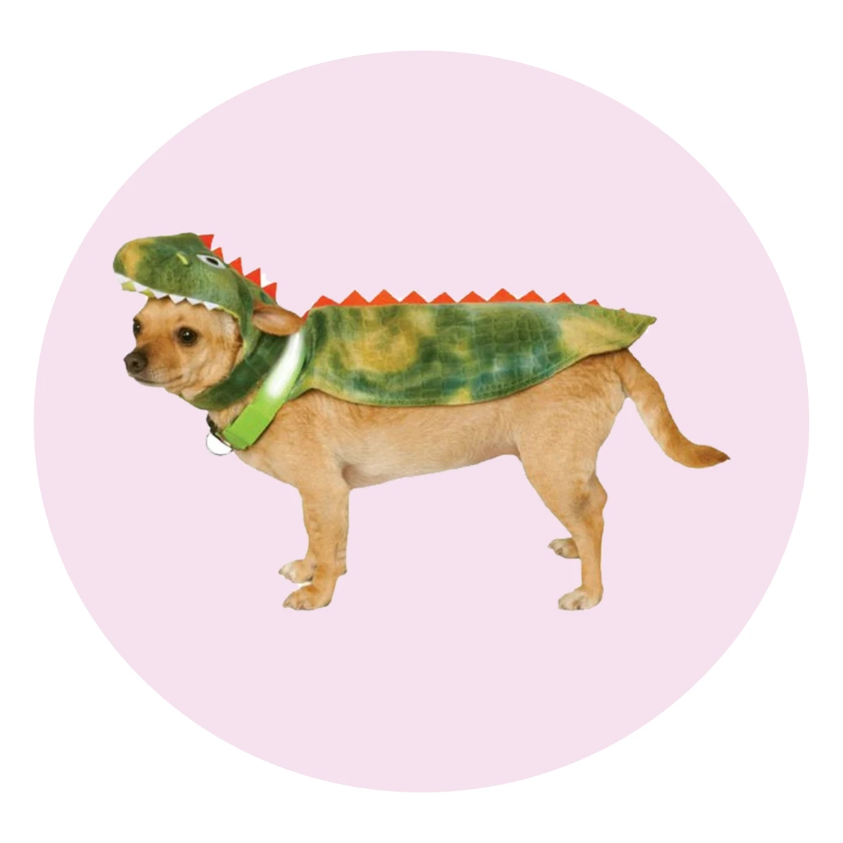 Dinosaur Dog Costume