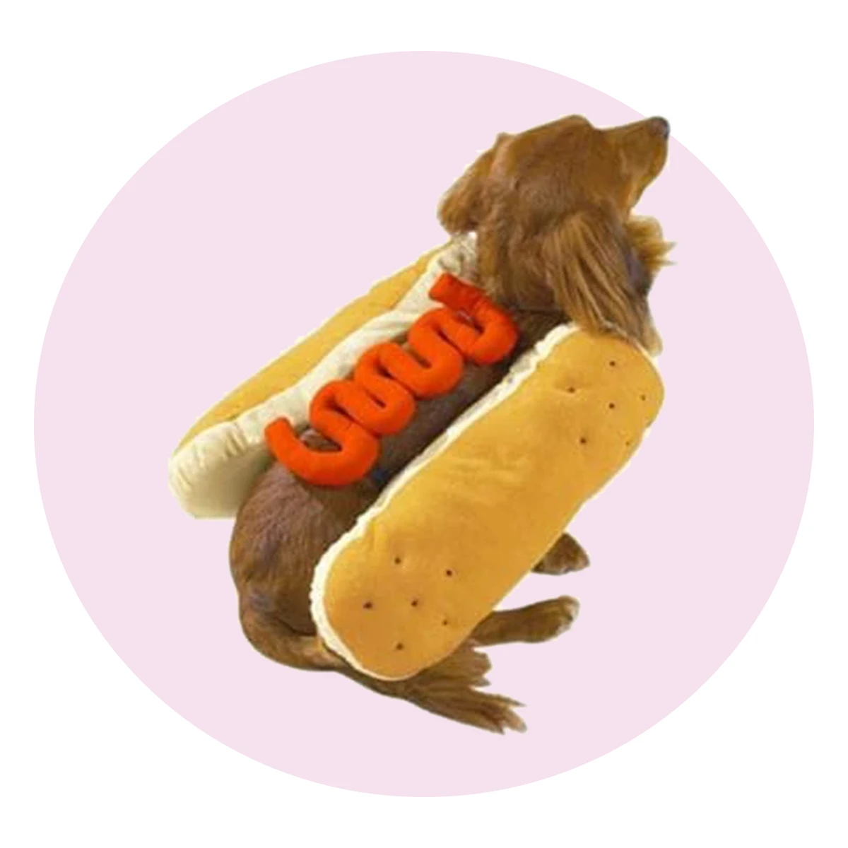 Hot Diggity Dog Costume with Ketchup