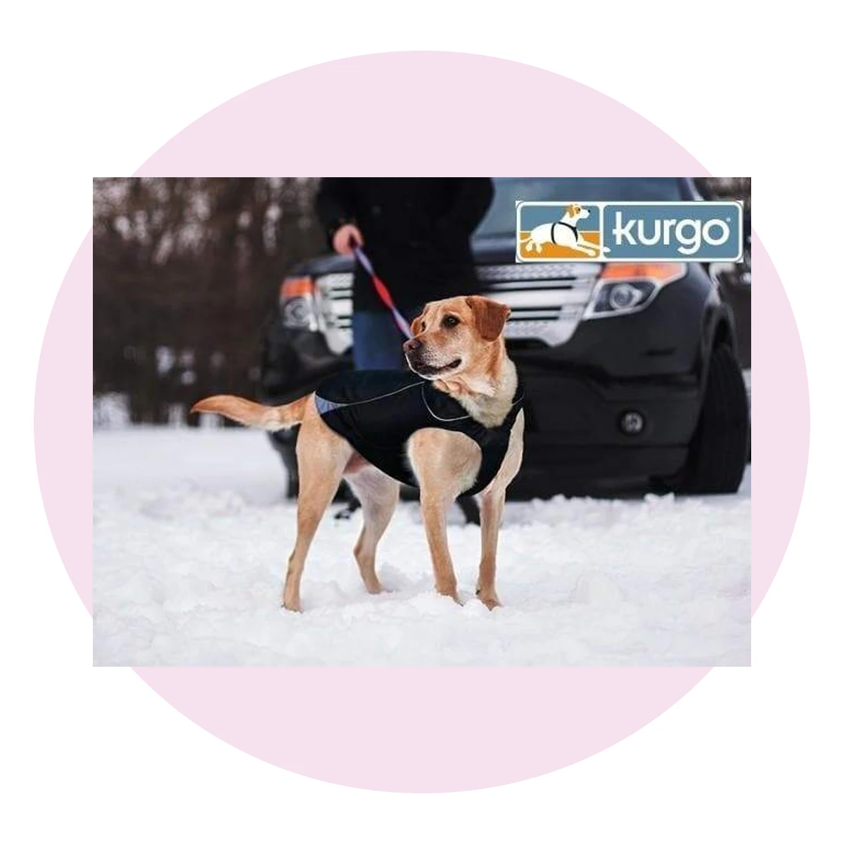 Waterproof North Country Dog Coat with LED Light