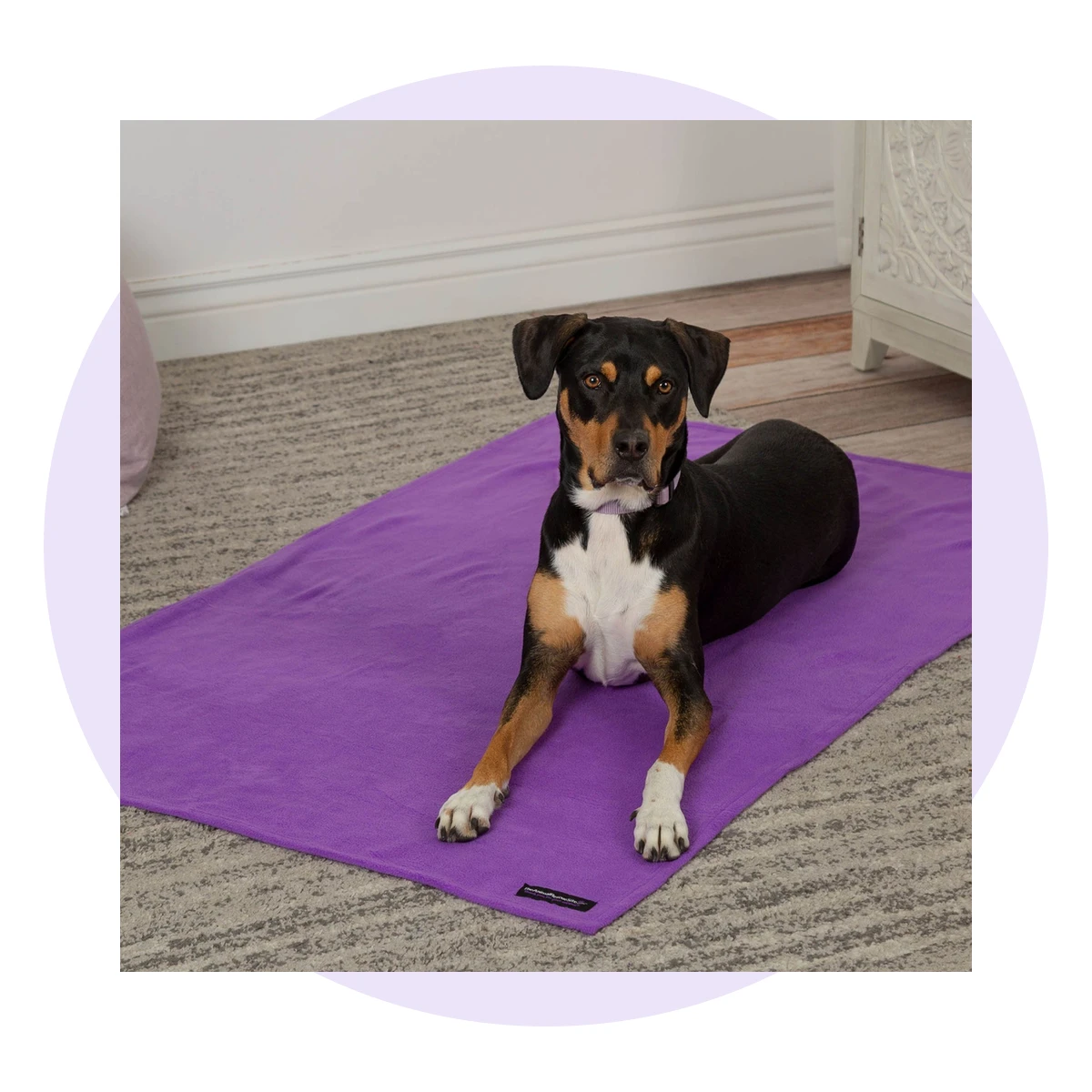 Snuggle Paws Signature Pet Blanket