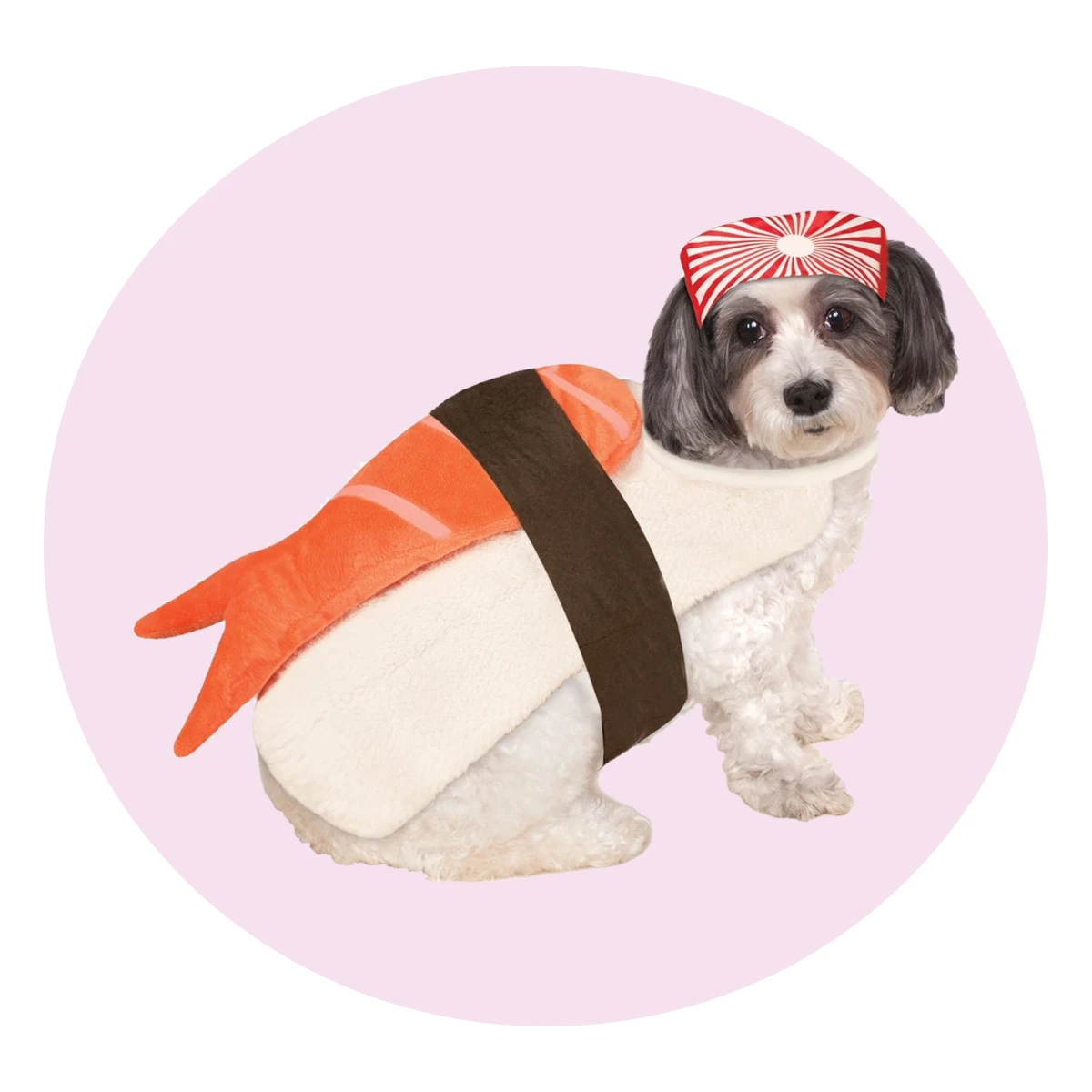 Sushi Pet Costume