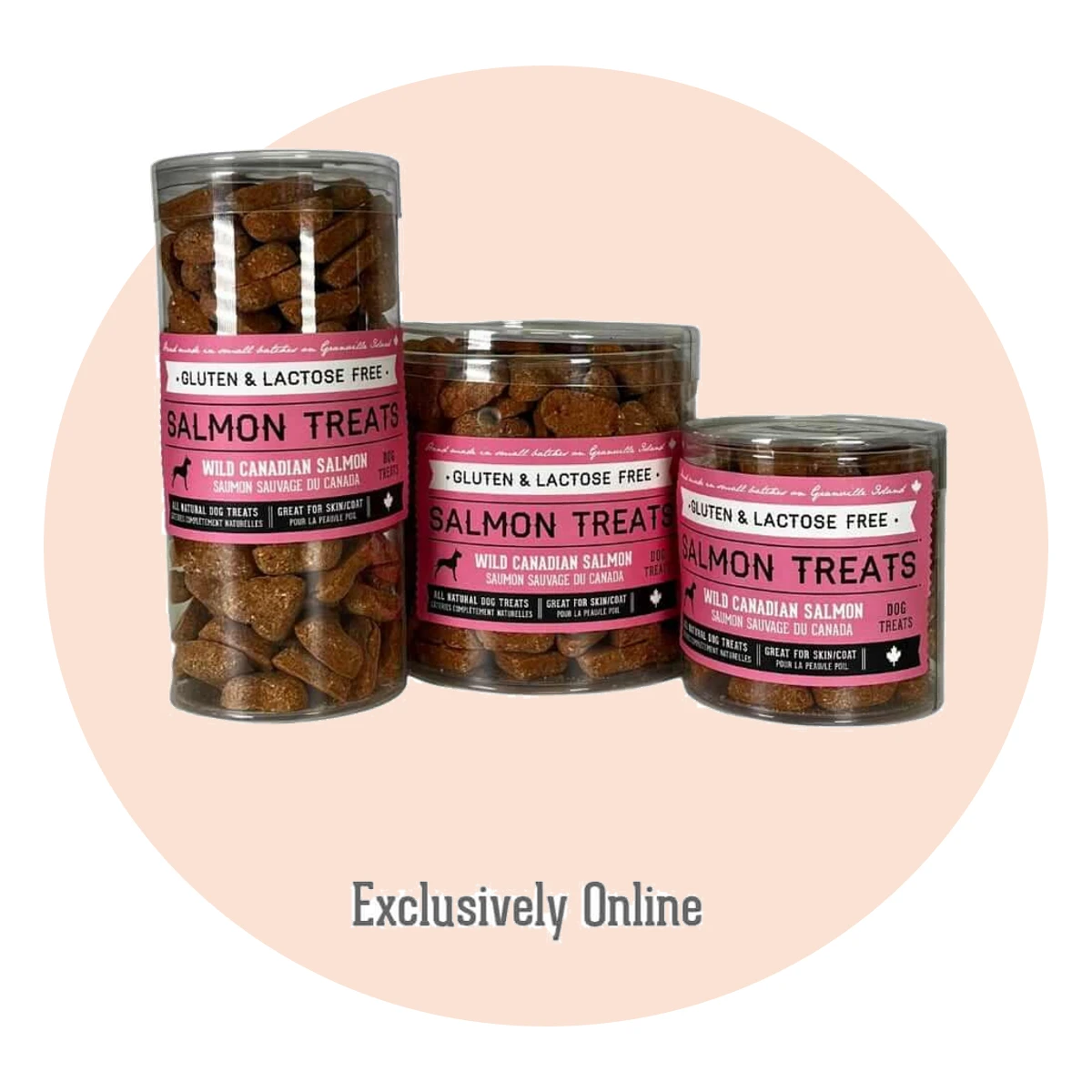 Wild Salmon Heart Biscuit Travel Tin