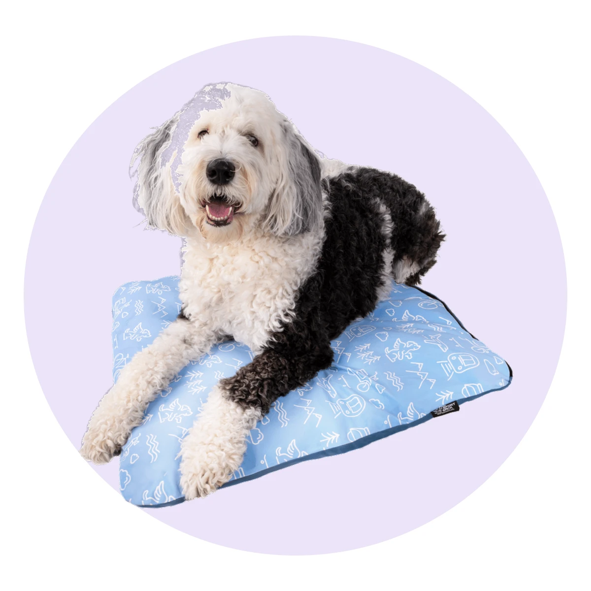 Sleeper Inflatable Travel Dog Bed