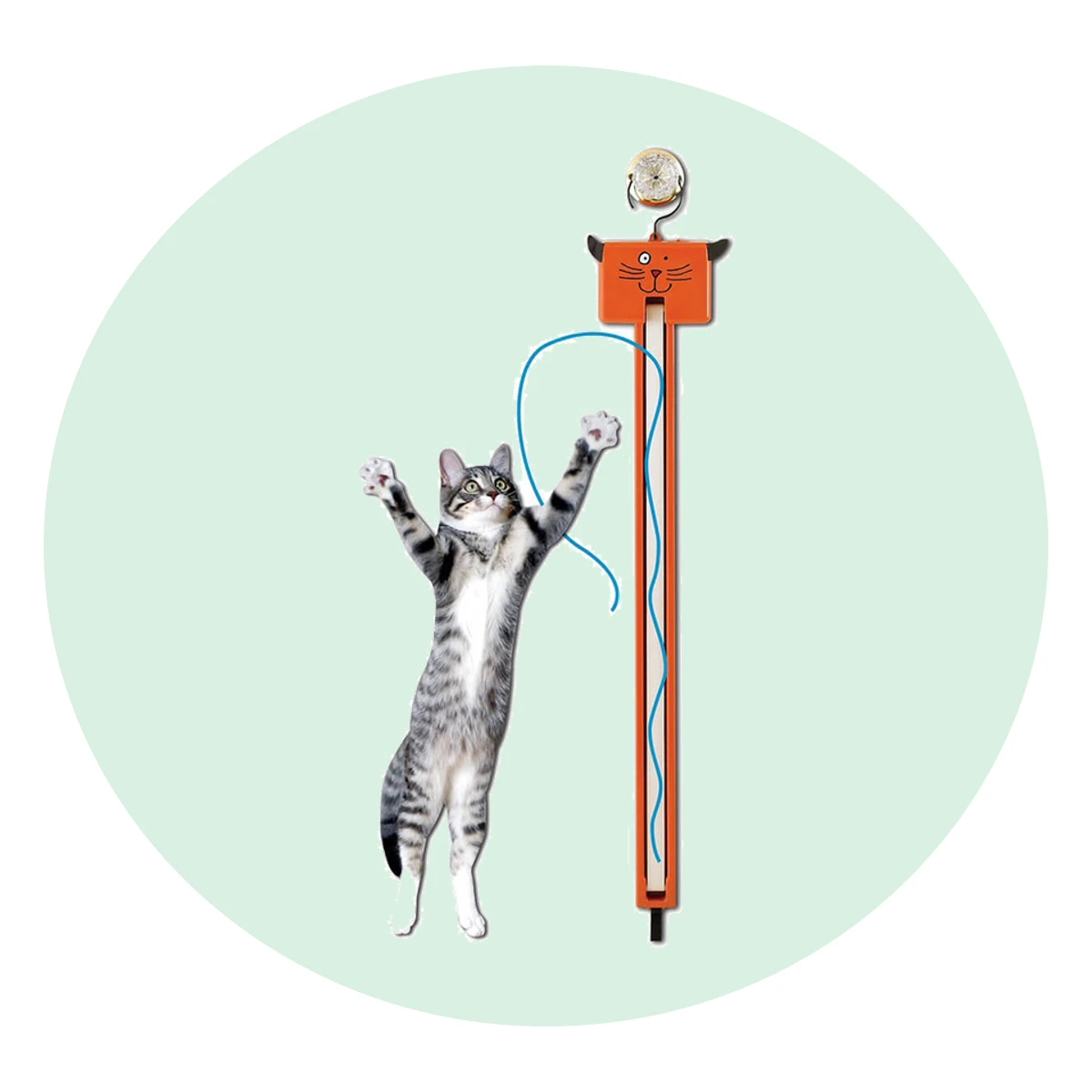 Moody Pet Fling-Ama-String Cat Toy