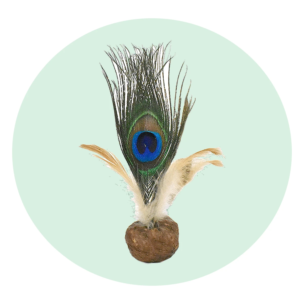 CATWANT Freeze Dried Gall Fruit Birdie Cat Toy