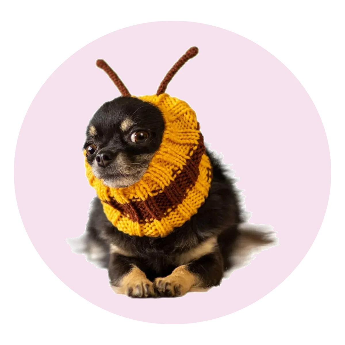 Bee Snood