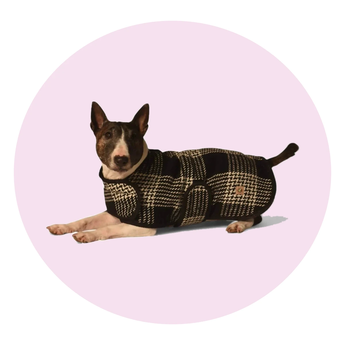 Black and White Blanket Dog Coat