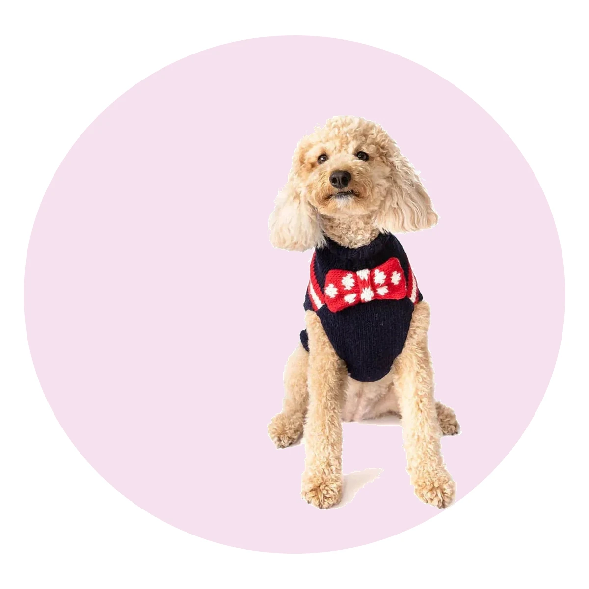 Bow Tie Dog Sweater