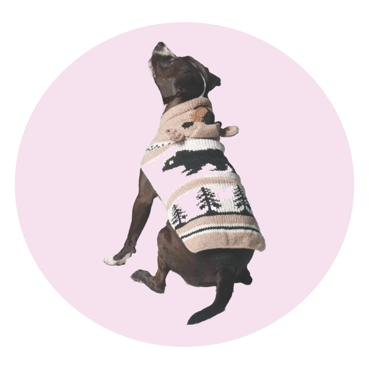 Brown Bear Dog Sweater