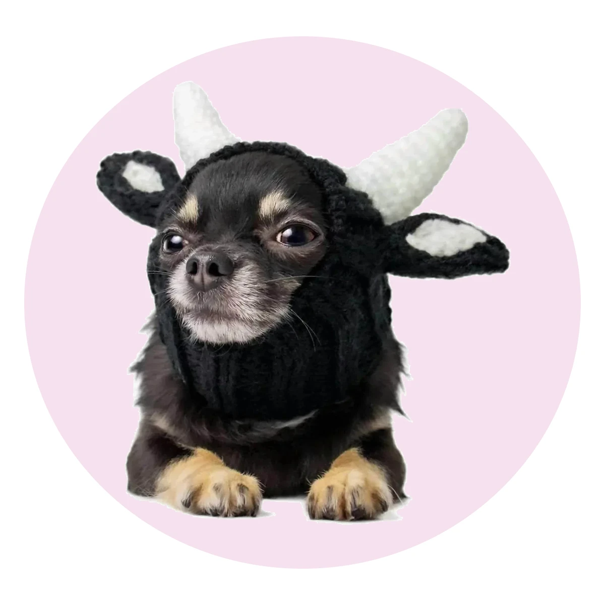 Bull Snood