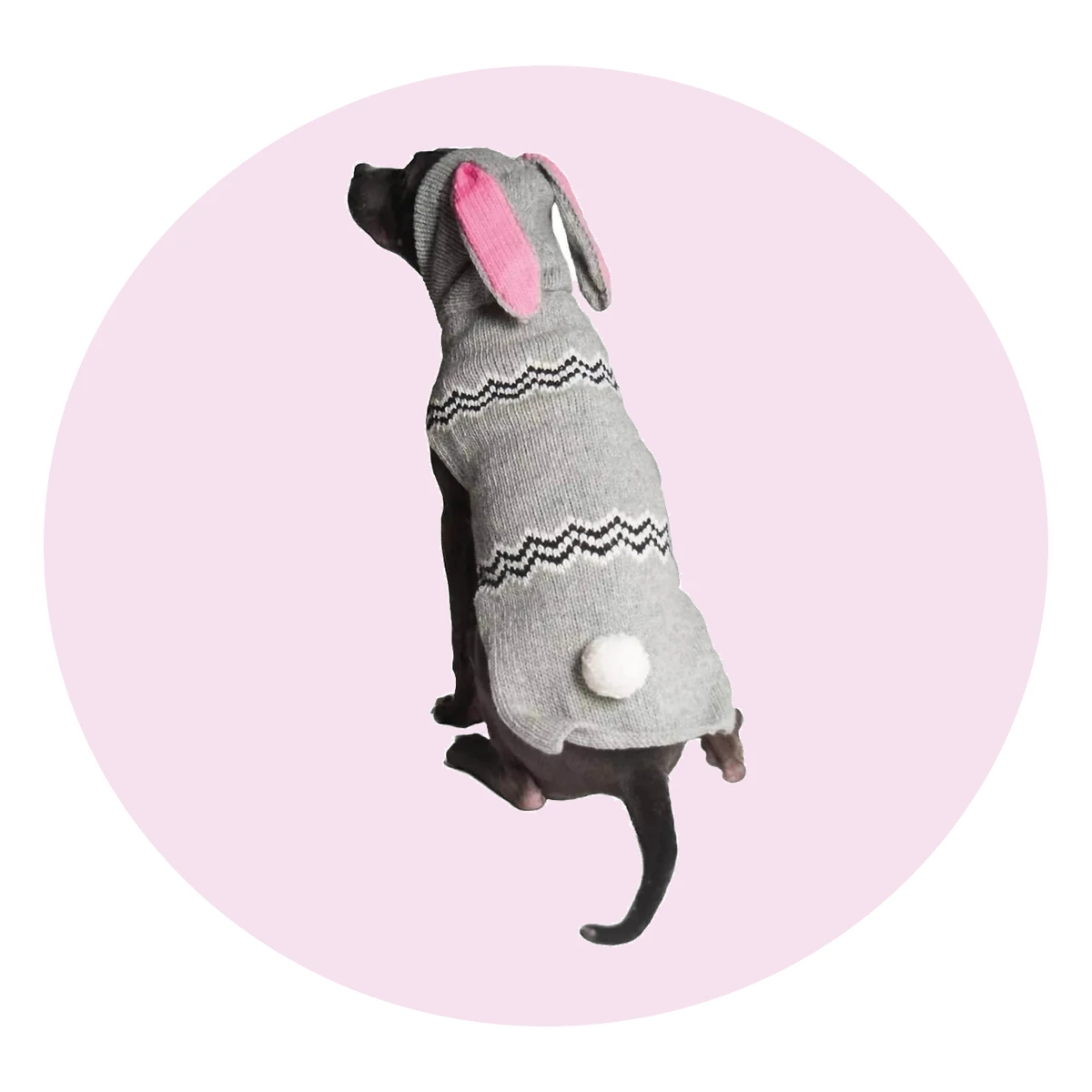 Bunny Dog Sweater