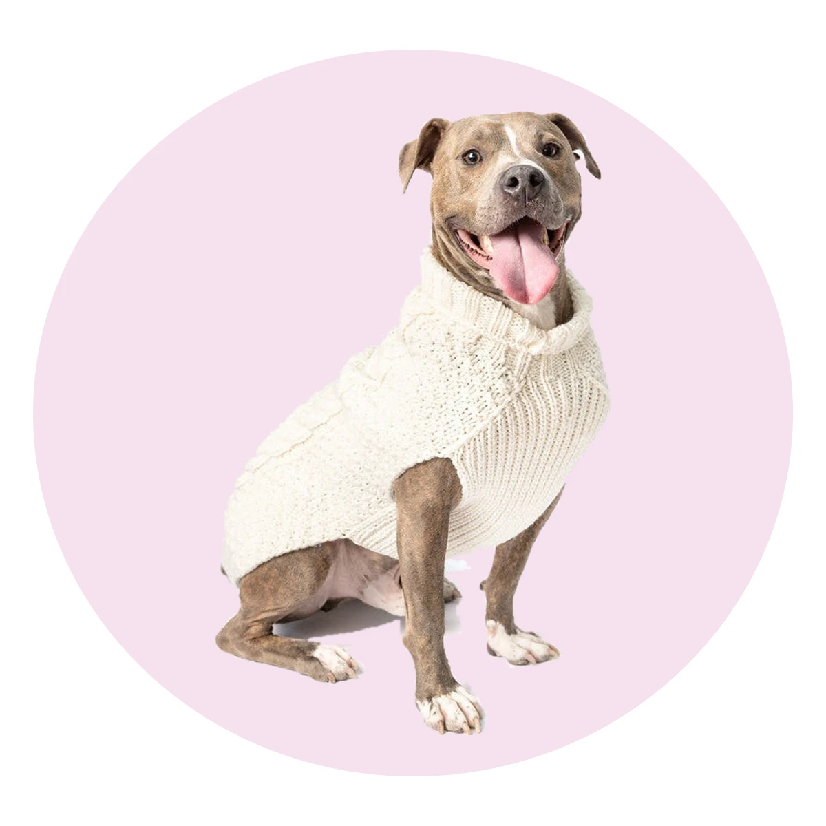 Cable Knit Dog Sweater