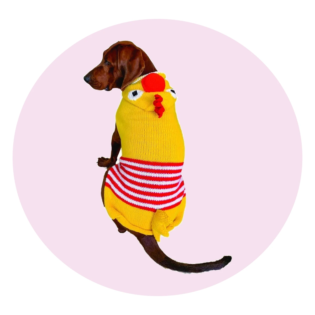 Chicken Dog Sweater