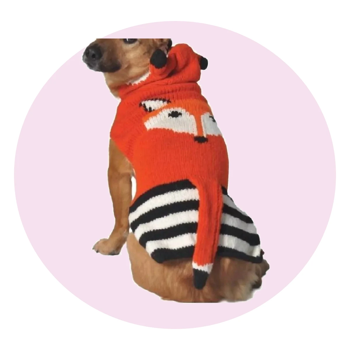 Foxy Dog Sweater