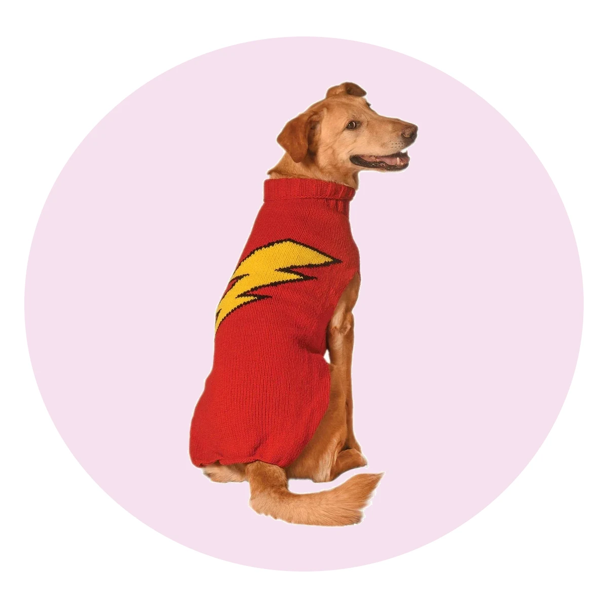 Lightning Bolt Dog Sweater