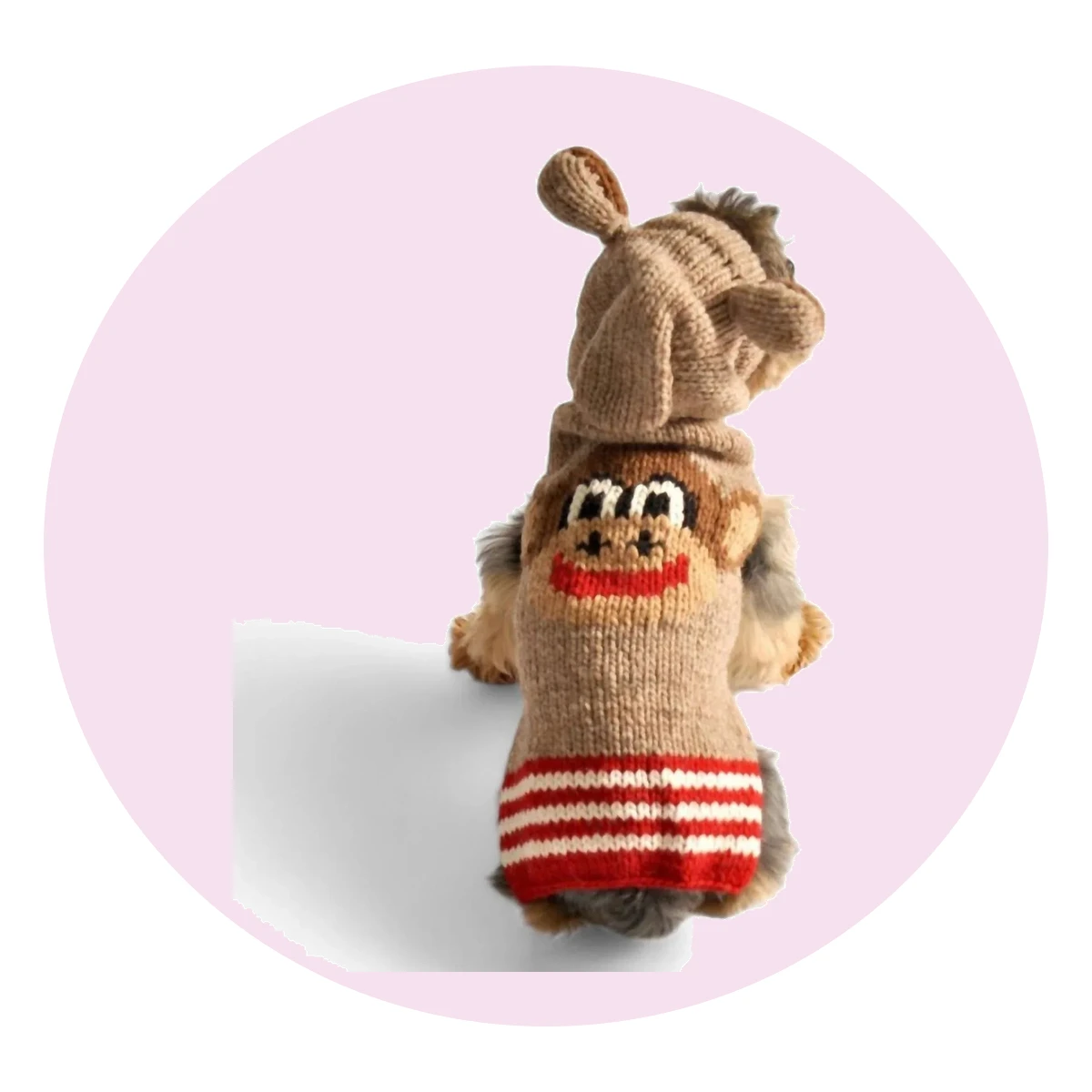 Monkey Dog Sweater