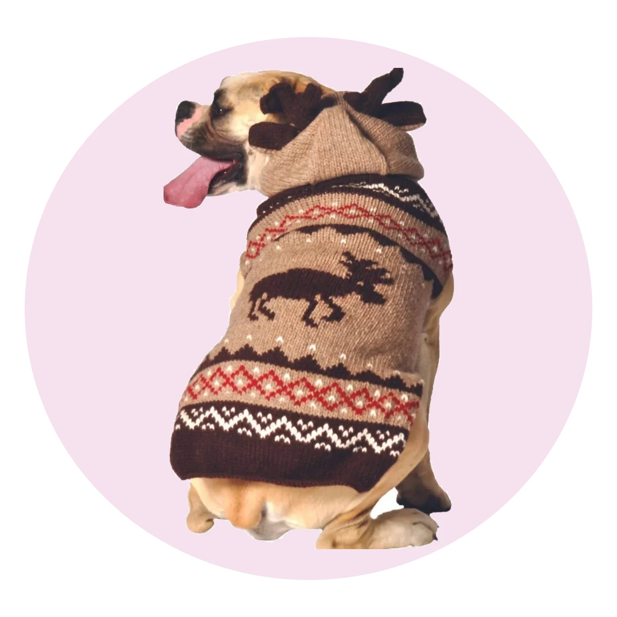 Moosey Dog Sweater