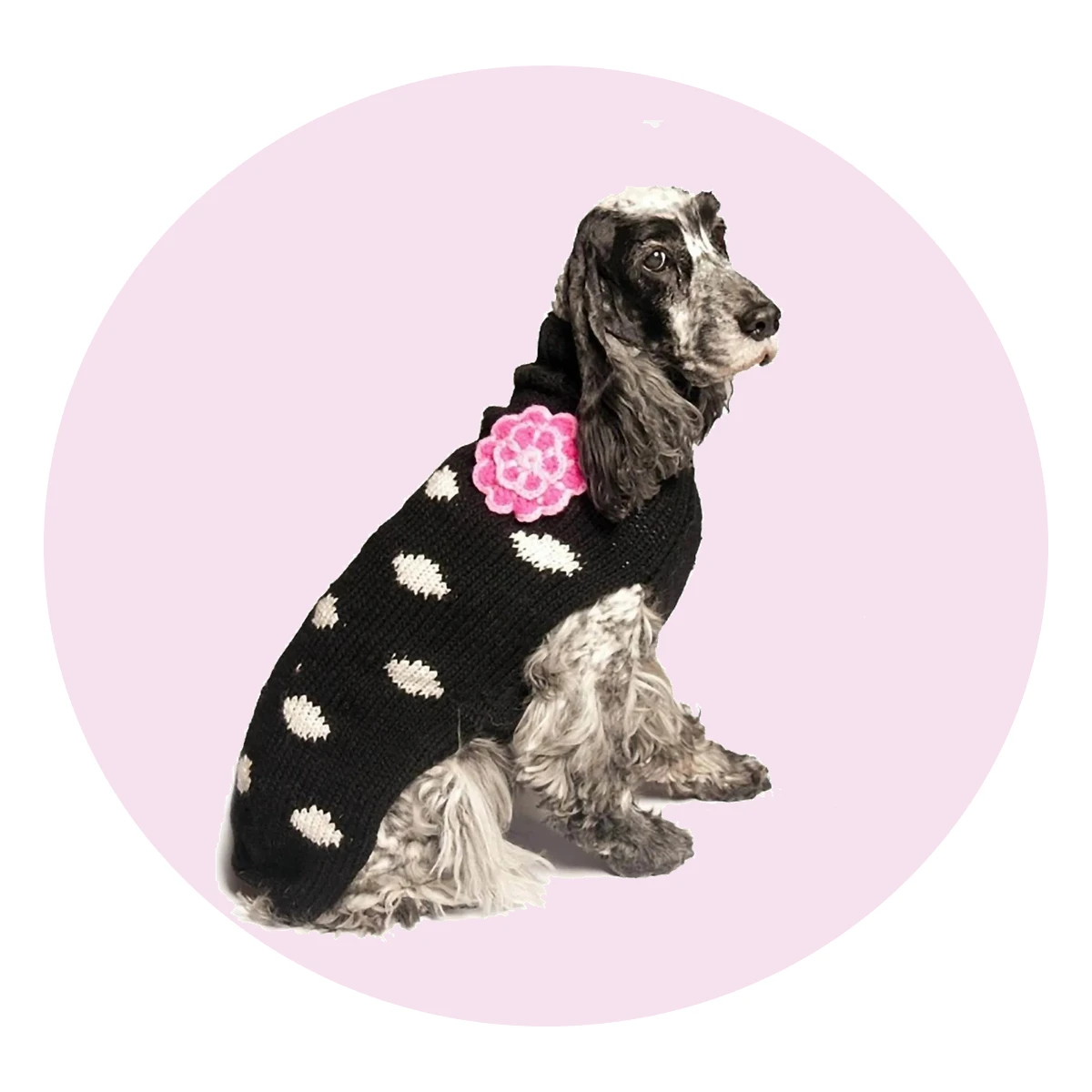 Polka Dot Dog Sweater