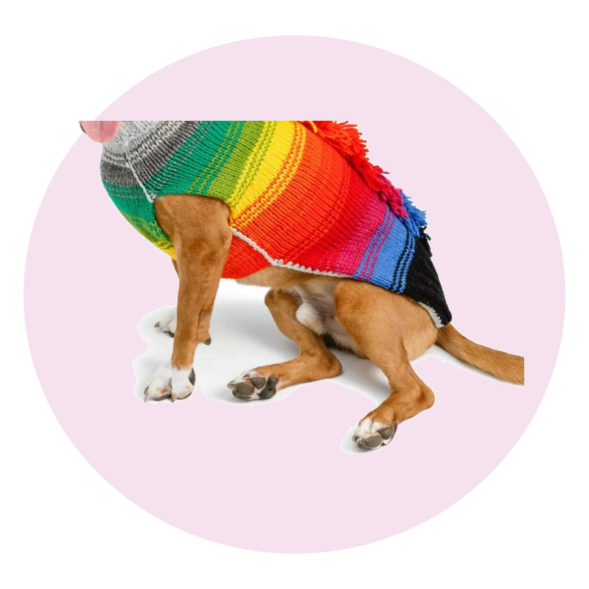 Rainbow Mohawk Dog Sweater