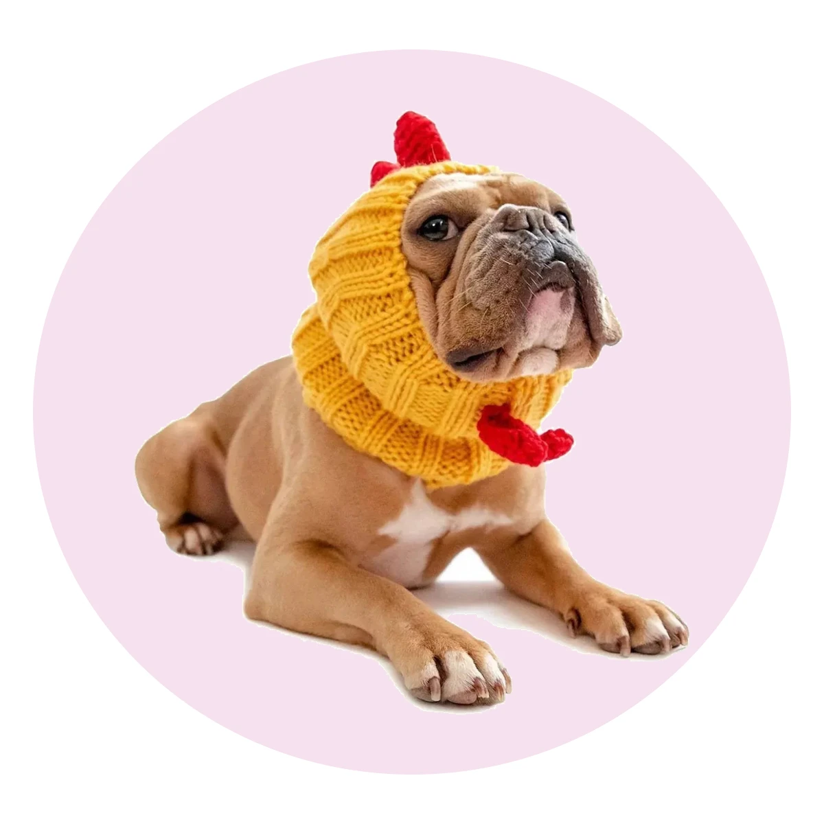 Rooster Snood