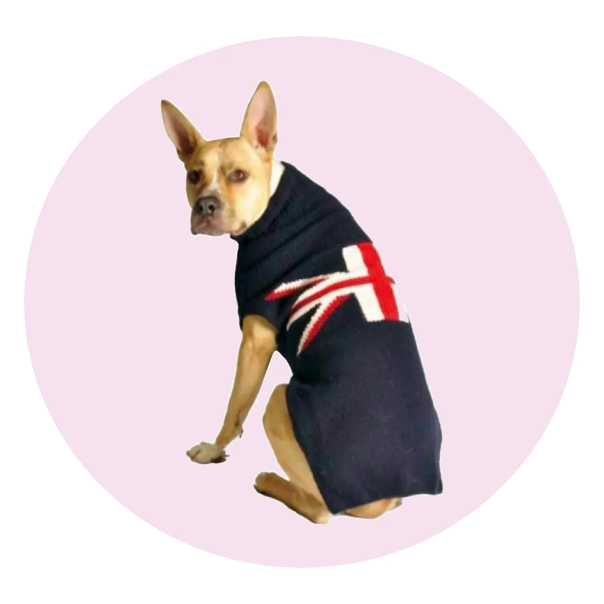 Union Jack Dog Sweater