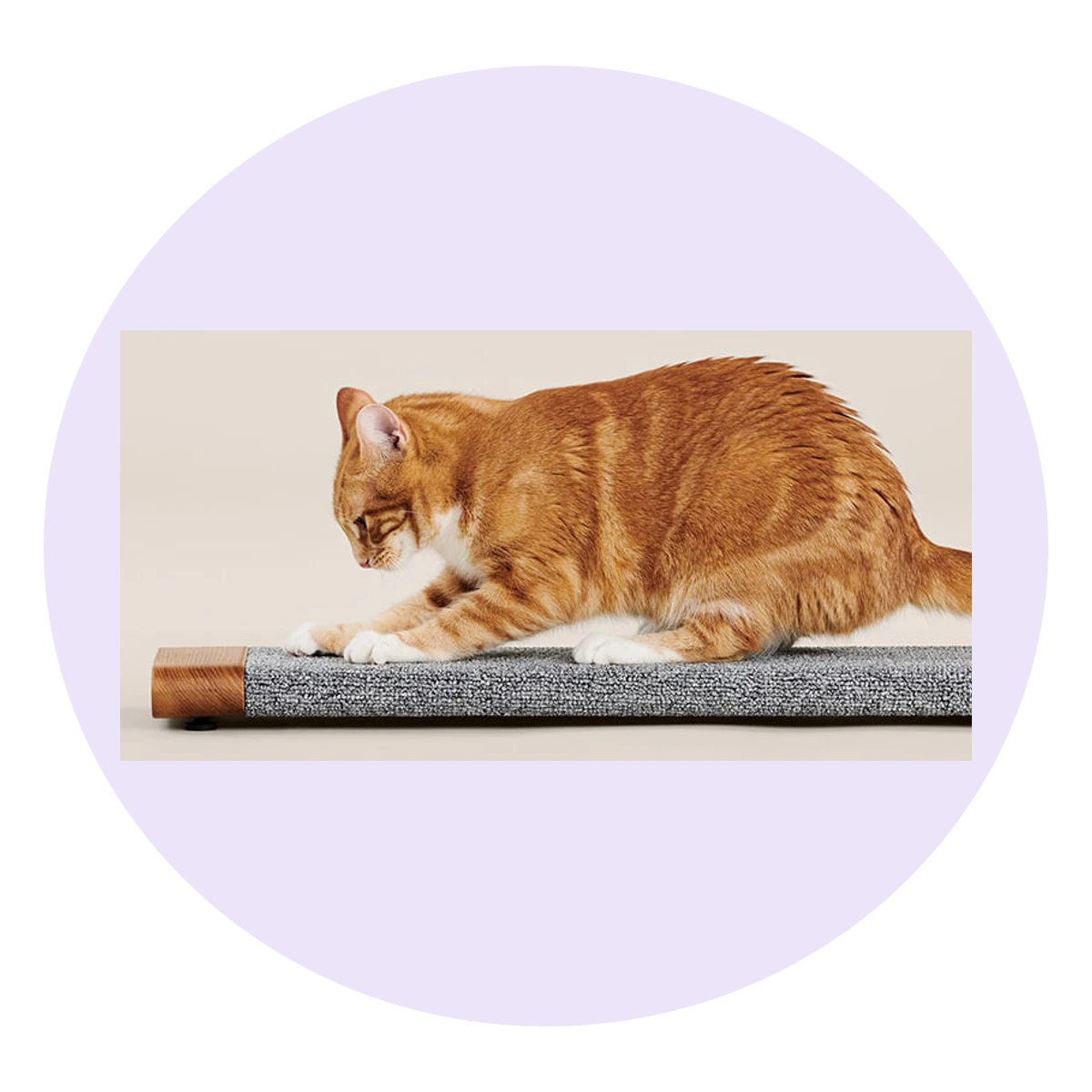 Tab Scratching Board
