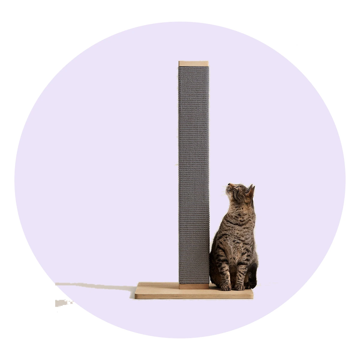Zip Scratching Post